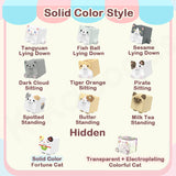 Square Cat Series Blind Box