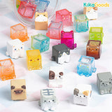 Square Cat Series Blind Box
