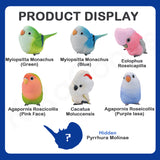 Animal Heavenly Body A Series Of Laugh And Grow Fat Series Parrot Chapter Blind Box