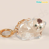 Cat You Pet Hair Collector Series Pendant Mini Blind Box
