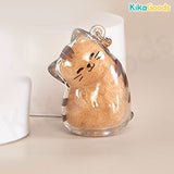 Cat You Pet Hair Collector Series Pendant Mini Blind Box