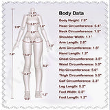 Heart Studio Villainesses' Tribunal: Execution Series 1/6 Action Figure BJD Blind Box【Shipped in May. ~ Jul. 2026】