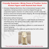 Minty Poem of Feathers Series Special 1/6 Action Figure BJD Blind Box