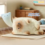 Cat PAI Emotion Series Blind Box