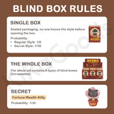 Wonderful Adventure Series Blind Box