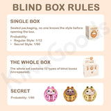 Cat You Meow Tuan Tuan Blessing Wobble Cat Series Blind Box