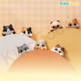 Picoco Cuddle Series Blind Box