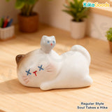 Kitten Everywhere Series Mini Bean Blind Box