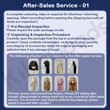 The Mysterious Transfer Student Series Special 1/6 Action Figure BJD Blind Box【Shipped in Oct./Nov. 2026】